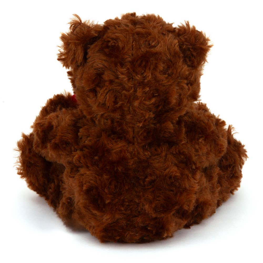6″ & 9″ Valentine Teddy Bear | Bear Holding Be Mine Heart