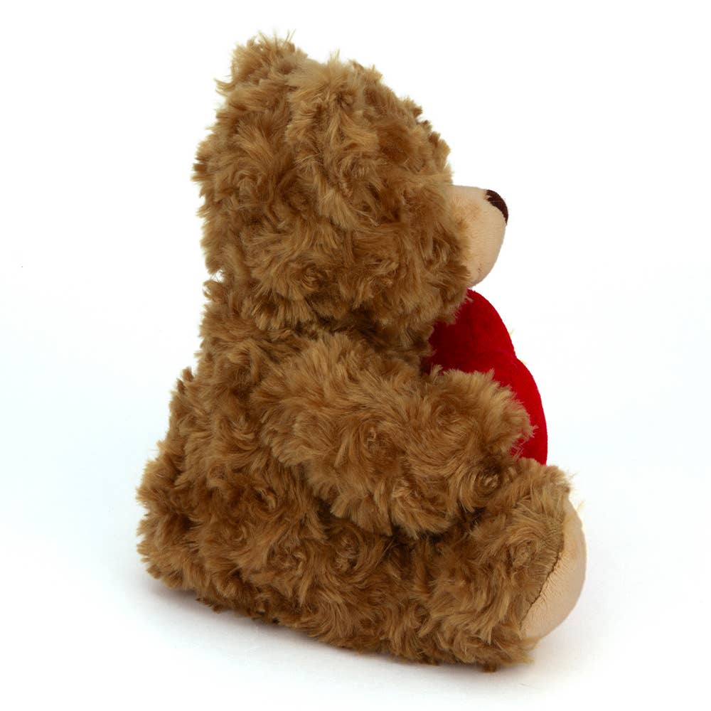 6" & 9" Valentine Teddy Bear with a Message on Holding Heart