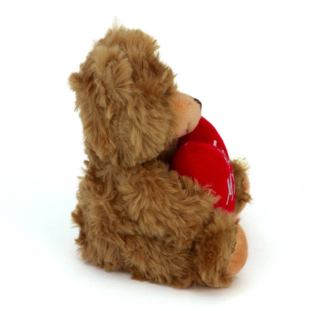 6" & 9" Valentine Teddy Bear with a Message on Holding Heart
